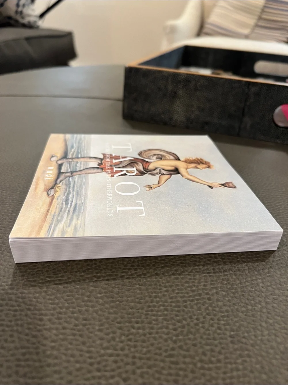 🟣 BOGO! Tarot: Notes from the Pagan Otherworlds Book